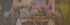 f_article.image.alt